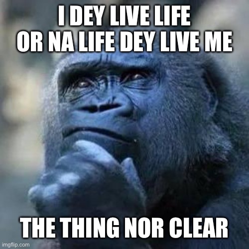 Thinking ape | I DEY LIVE LIFE OR NA LIFE DEY LIVE ME; THE THING NOR CLEAR | image tagged in thinking ape | made w/ Imgflip meme maker