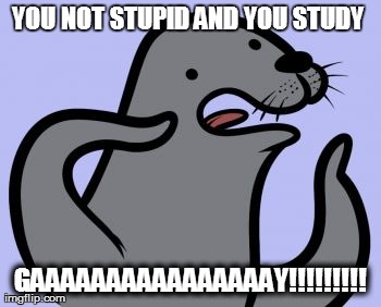 Homophobic Seal | YOU NOT STUPID AND YOU STUDY  GAAAAAAAAAAAAAAAAY!!!!!!!!! | image tagged in memes,homophobic seal | made w/ Imgflip meme maker