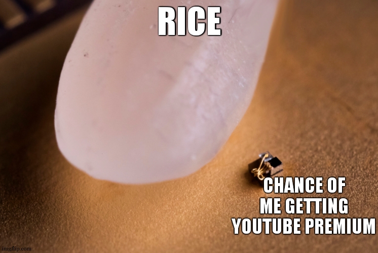 Grain Of Rice | RICE; CHANCE OF ME GETTING YOUTUBE PREMIUM | image tagged in grain of rice | made w/ Imgflip meme maker