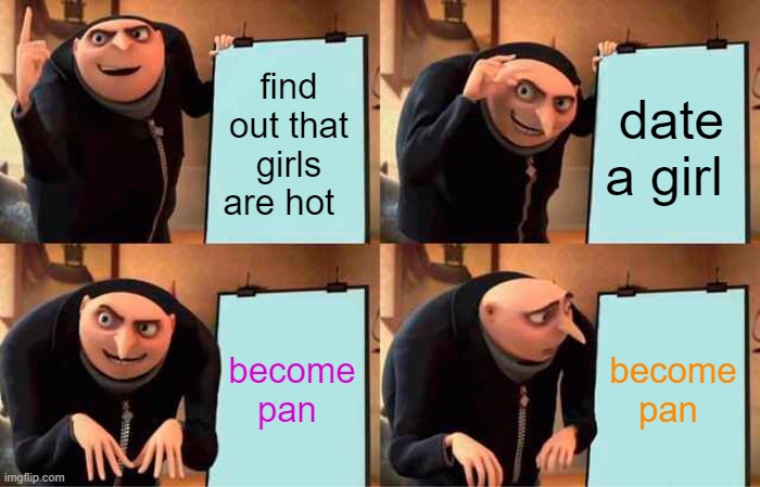 Gru's Plan | find out that girls are hot; date a girl; become pan; become pan | image tagged in memes,gru's plan | made w/ Imgflip meme maker