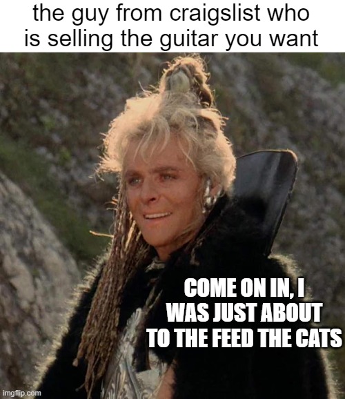 the guy from craigslist who is selling the guitar you want; COME ON IN, I WAS JUST ABOUT TO THE FEED THE CATS | image tagged in guitar,craigslist,memes,weirdo,heavy metal,bad movies | made w/ Imgflip meme maker