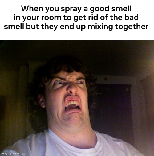 Wth is that smell?! | When you spray a good smell in your room to get rid of the bad smell but they end up mixing together | image tagged in memes,oh no | made w/ Imgflip meme maker