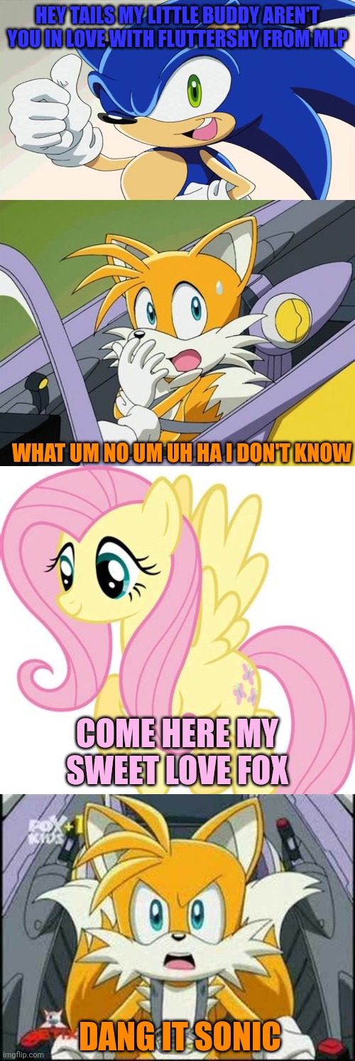 Is Tails in love with Fluttershy | HEY TAILS MY LITTLE BUDDY AREN'T YOU IN LOVE WITH FLUTTERSHY FROM MLP; WHAT UM NO UM UH HA I DON'T KNOW; COME HERE MY SWEET LOVE FOX; DANG IT SONIC | image tagged in my little pony,sonic the hedgehog,tails the fox,fluttershy,memes,mlp | made w/ Imgflip meme maker