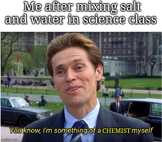You know, I'm something of a _ myself | Me after mixing salt and water in science class; CHEMIST | image tagged in you know i'm something of a _ myself | made w/ Imgflip meme maker