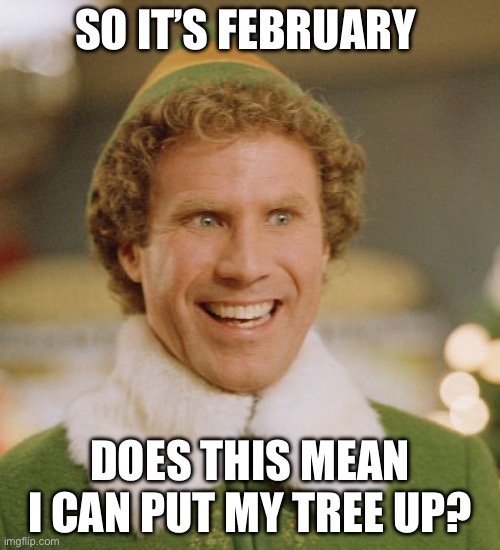 So It’s February does this mean I can put my tree Up? | SO IT’S FEBRUARY; DOES THIS MEAN I CAN PUT MY TREE UP? | image tagged in memes,buddy the elf | made w/ Imgflip meme maker