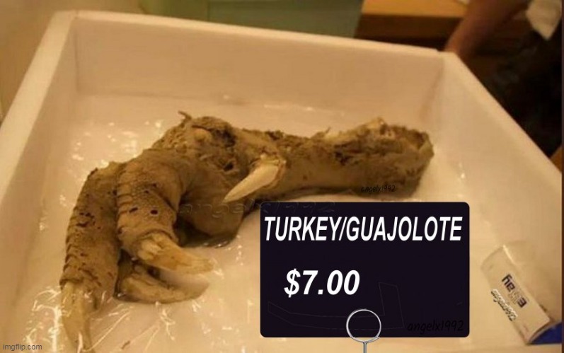image tagged in turkey,moa,new zealand,guajolote,food,grocery store | made w/ Imgflip meme maker