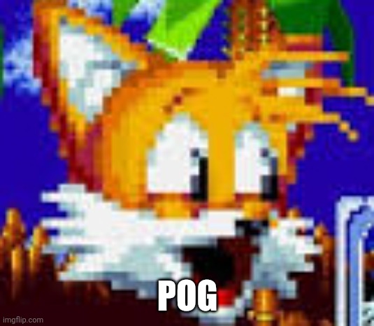 tails pog | POG | image tagged in tails pog | made w/ Imgflip meme maker