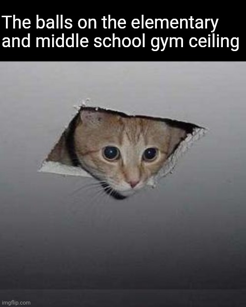 Ceiling Cat Meme | The balls on the elementary and middle school gym ceiling | image tagged in memes,ceiling cat | made w/ Imgflip meme maker