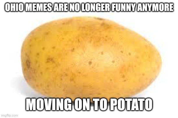 It's dead now | OHIO MEMES ARE NO LONGER FUNNY ANYMORE; MOVING ON TO POTATO | image tagged in potato,memes,ohio,oh wow are you actually reading these tags,moving on | made w/ Imgflip meme maker