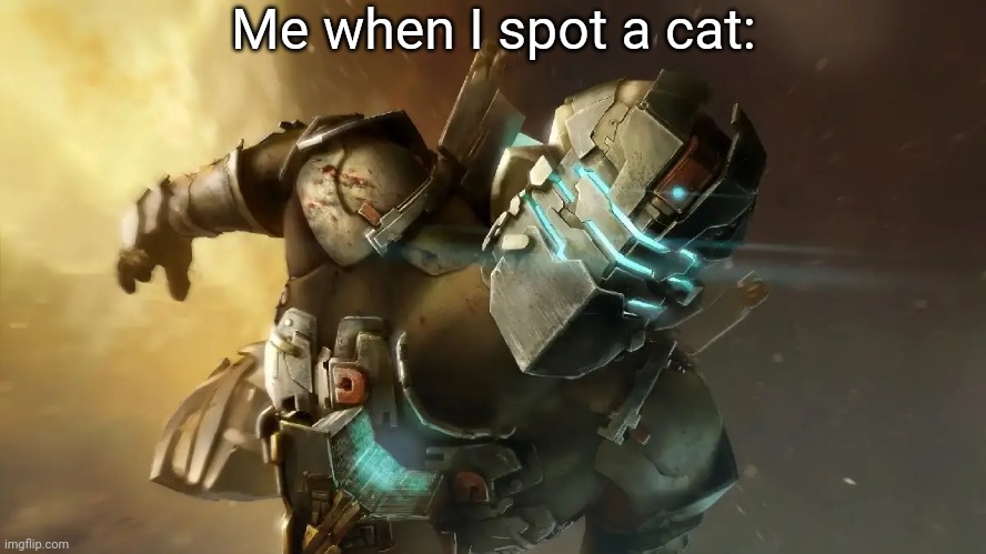 Cats | Me when I spot a cat: | image tagged in cats,dead space | made w/ Imgflip meme maker