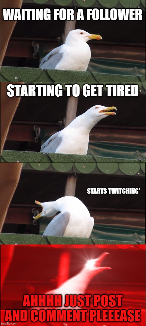 Follow this stream and post. when this stream reaches 200 followers and 300 posts, i will make someone a moderater. | WAITING FOR A FOLLOWER; STARTING TO GET TIRED; STARTS TWITCHING*; AHHHH JUST POST AND COMMENT PLEEEASE | image tagged in memes,inhaling seagull,fun,follow me | made w/ Imgflip meme maker