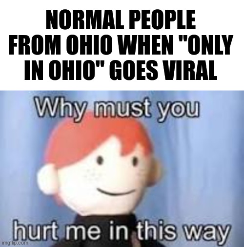 ACTUAL people from ohio be like... | NORMAL PEOPLE FROM OHIO WHEN "ONLY IN OHIO" GOES VIRAL | image tagged in why must you hurt me in this way,fax,memes,so true,only in ohio,the truth | made w/ Imgflip meme maker