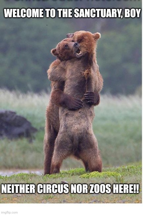 hugging bears | WELCOME TO THE SANCTUARY, BOY; NEITHER CIRCUS NOR ZOOS HERE!! | image tagged in hugging bears | made w/ Imgflip meme maker