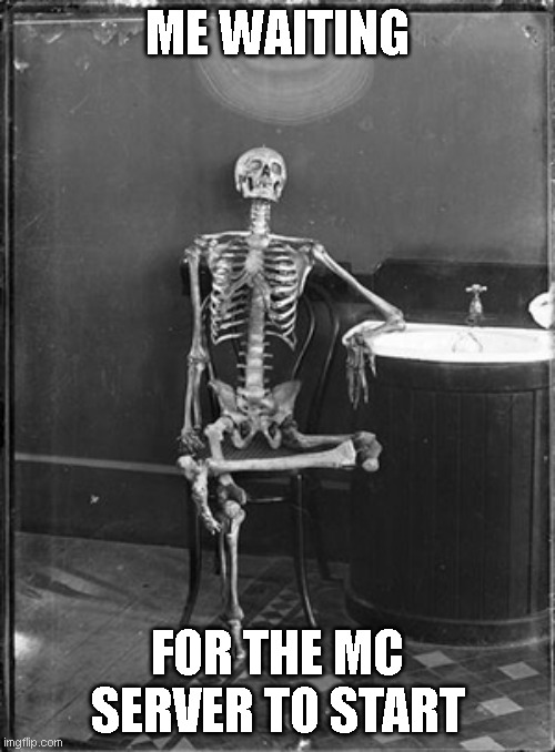 Me waiting | ME WAITING; FOR THE MC SERVER TO START | image tagged in me waiting | made w/ Imgflip meme maker