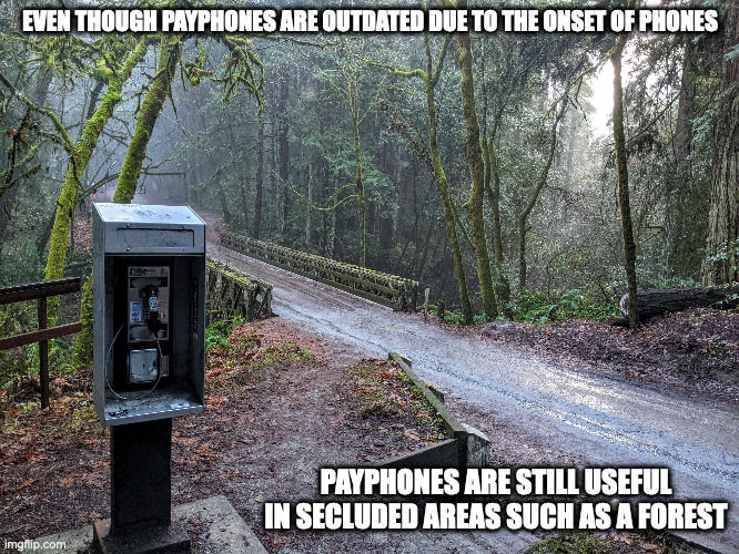 Payphone in Forest | EVEN THOUGH PAYPHONES ARE OUTDATED DUE TO THE ONSET OF PHONES; PAYPHONES ARE STILL USEFUL IN SECLUDED AREAS SUCH AS A FOREST | image tagged in payphone,forest,memes | made w/ Imgflip meme maker
