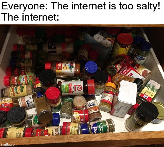 Too Salty you say? | Everyone: The internet is too salty!
The internet: | image tagged in memes,internet,salty,spice,food | made w/ Imgflip meme maker