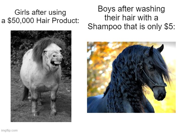 As a boy, I would relate to this | Boys after washing their hair with a Shampoo that is only $5:; Girls after using a $50,000 Hair Product: | image tagged in shower,memes,funny,relatable memes,boys vs girls,horse | made w/ Imgflip meme maker