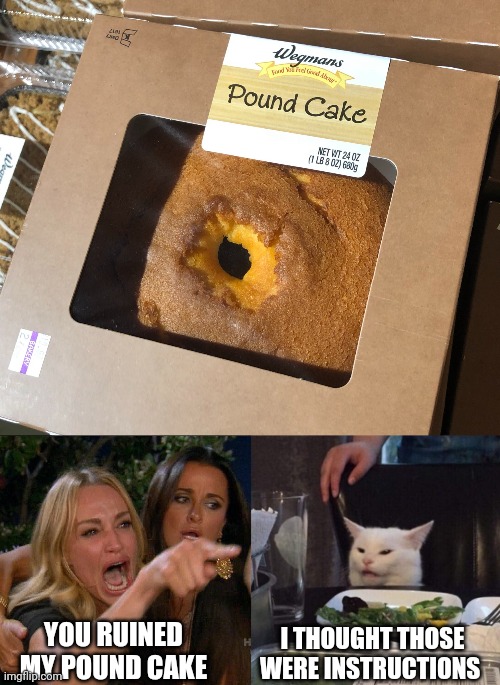 I THOUGHT THOSE WERE INSTRUCTIONS; YOU RUINED MY POUND CAKE | image tagged in woman yelling at cat | made w/ Imgflip meme maker
