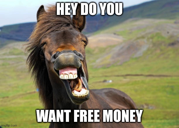 Horse | HEY DO YOU; WANT FREE MONEY | image tagged in farm | made w/ Imgflip meme maker