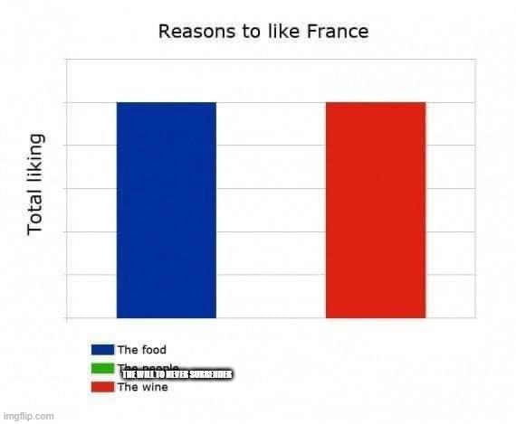 Reasons to like France | THE WILL TO NEVER SURRENDER | image tagged in reasons to like france | made w/ Imgflip meme maker