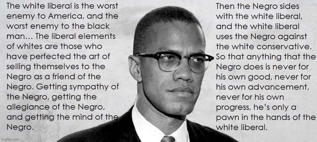 Malcolm Knew The Obvious Truth !!! | image tagged in the real truth,malcolm x | made w/ Imgflip meme maker