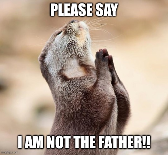 animal praying | PLEASE SAY; I AM NOT THE FATHER!! | image tagged in animal praying | made w/ Imgflip meme maker
