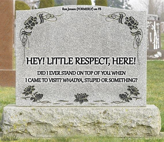 Straight From The Heart | Ron Jensen (FORMERLY) on FB; HEY! LITTLE RESPECT, HERE! DID I EVER STAND ON TOP OF YOU WHEN I CAME TO VISIT? WHADYA, STUPID OR SOMETHING? | image tagged in gravestone,grave,graveyard,cemetery,buried | made w/ Imgflip meme maker