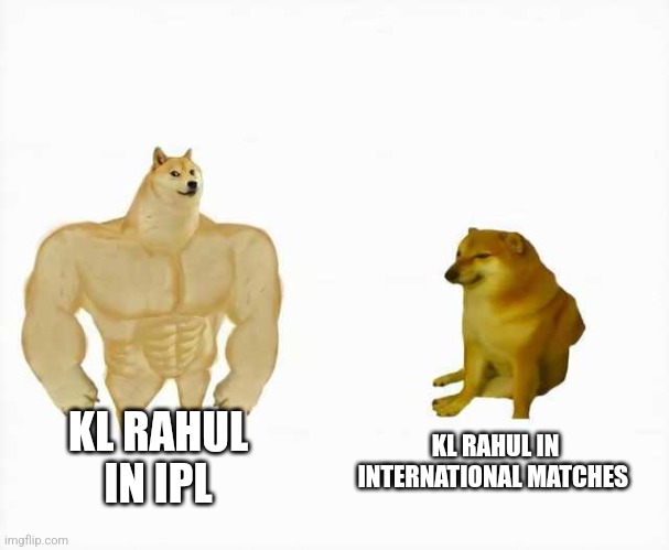 Strong dog vs weak dog | KL RAHUL IN INTERNATIONAL MATCHES; KL RAHUL 







IN IPL | image tagged in strong dog vs weak dog | made w/ Imgflip meme maker