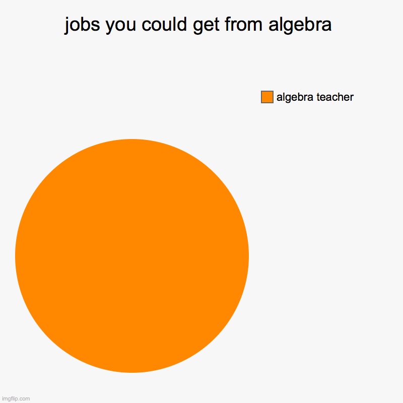 jobs you could get from algebra | algebra teacher | image tagged in charts,pie charts | made w/ Imgflip chart maker