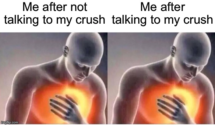 Two Forms of Shame; Equally Painful | Me after not talking to my crush; Me after talking to my crush | image tagged in chest pain,pain,heart pain,heartache,crush,love | made w/ Imgflip meme maker
