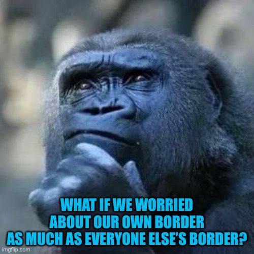 Thinking ape | WHAT IF WE WORRIED ABOUT OUR OWN BORDER
AS MUCH AS EVERYONE ELSE’S BORDER? | image tagged in thinking ape | made w/ Imgflip meme maker