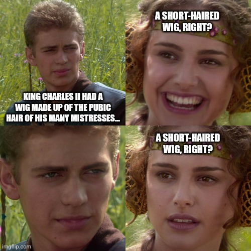 I hope it was a short-haired wig... | A SHORT-HAIRED WIG, RIGHT? KING CHARLES II HAD A WIG MADE UP OF THE PUBIC HAIR OF HIS MANY MISTRESSES... A SHORT-HAIRED WIG, RIGHT? | image tagged in anakin padme 4 panel,funny,funny meme,history memes,shawnljohnson | made w/ Imgflip meme maker