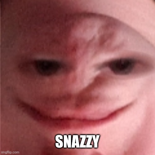 Snazzy chin face | SNAZZY | image tagged in funny | made w/ Imgflip meme maker