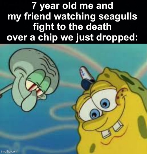 I'm betting on the speckled one to win | 7 year old me and my friend watching seagulls fight to the death over a chip we just dropped: | image tagged in memes,unfunny,spongebob | made w/ Imgflip meme maker