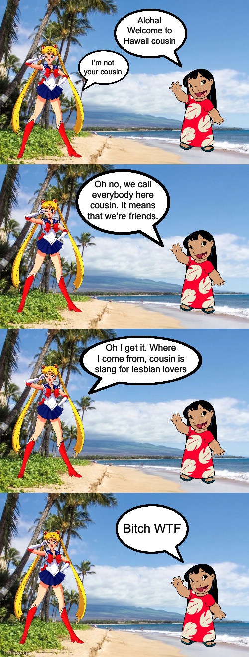 Aloha! Welcome to Hawaii cousin; I’m not your cousin; Oh no, we call everybody here cousin. It means that we’re friends. Oh I get it. Where I come from, cousin is slang for lesbian lovers; Bitch WTF | image tagged in sailor moon,lilo and stitch,hawaii,cousin,wtf,lesbian | made w/ Imgflip meme maker