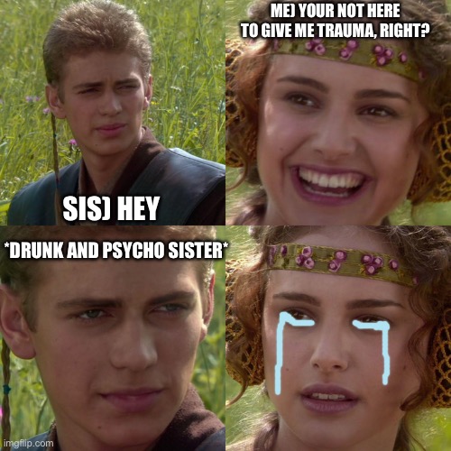 ✨fUHKING MORE TRAUMA✨ | ME) YOUR NOT HERE TO GIVE ME TRAUMA, RIGHT? SIS) HEY; *DRUNK AND PSYCHO SISTER* | image tagged in anakin padme 4 panel,trauma,drunk | made w/ Imgflip meme maker