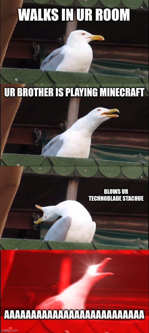 hes gonna die | WALKS IN UR ROOM; UR BROTHER IS PLAYING MINECRAFT; BLOWS UR TECHNOBLADE STACHUE; AAAAAAAAAAAAAAAAAAAAAAAAAA | image tagged in memes,inhaling seagull | made w/ Imgflip meme maker