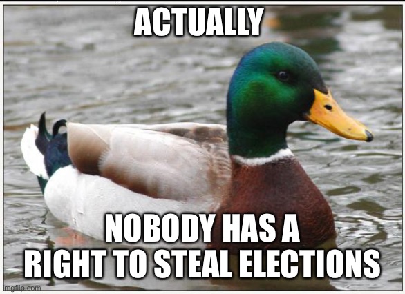 Actual Advice Mallard Meme | ACTUALLY NOBODY HAS A RIGHT TO STEAL ELECTIONS | image tagged in memes,actual advice mallard | made w/ Imgflip meme maker