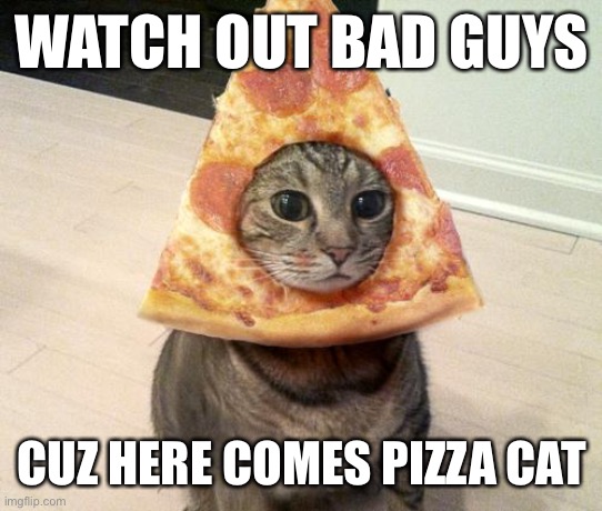 Pizza Cat | WATCH OUT BAD GUYS; CUZ HERE COMES PIZZA CAT | image tagged in pizza cat,bad guys,criminal,criminals | made w/ Imgflip meme maker