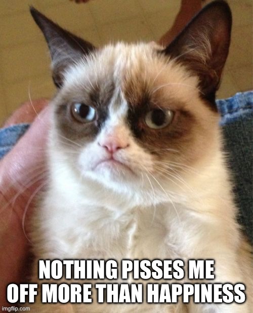 Grumpy cat | NOTHING PISSES ME OFF MORE THAN HAPPINESS | image tagged in grumpy cat,happiness,black cat pissed,angry,pissed off,lazy | made w/ Imgflip meme maker