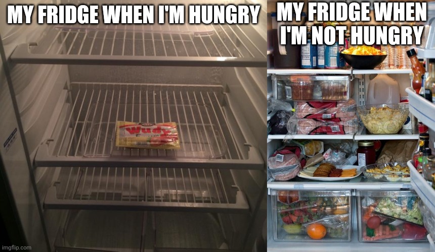 Hungry | MY FRIDGE WHEN I'M NOT HUNGRY; MY FRIDGE WHEN I'M HUNGRY | image tagged in empty fridge,full refrigerator | made w/ Imgflip meme maker