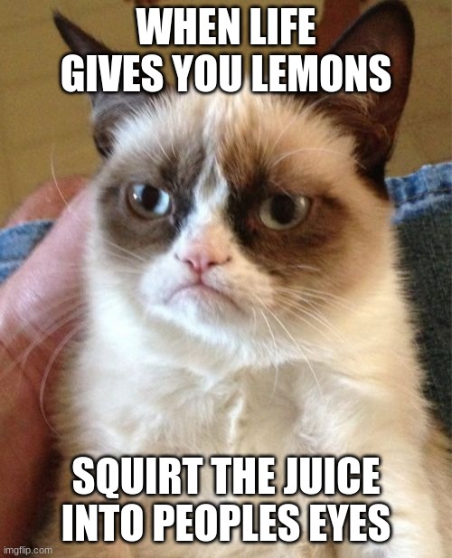 I probably would too | WHEN LIFE GIVES YOU LEMONS; SQUIRT THE JUICE INTO PEOPLE'S EYES | image tagged in memes,grumpy cat | made w/ Imgflip meme maker