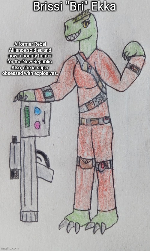 Brissi "Bri" Ekka; A former Rebel Alliance soldier, and now a bounty hunter for the New Republic. Also, she is super obsessed with explosives. | made w/ Imgflip meme maker