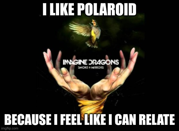 I didn't know whether to post this in this stream or Depression_Much. | I LIKE POLAROID; BECAUSE I FEEL LIKE I CAN RELATE | image tagged in smoke mirrors,imagine dragons | made w/ Imgflip meme maker