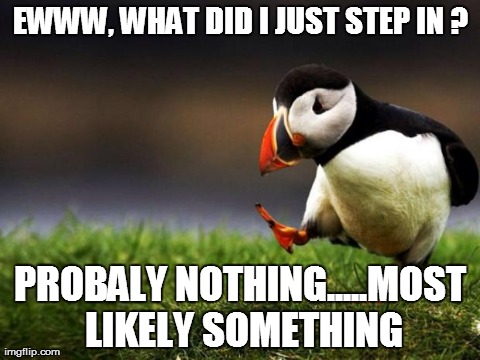 Unpopular Opinion Puffin Meme | EWWW, WHAT DID I JUST STEP IN? PROBALY NOTHING.....MOST LIKELY SOMETHING | image tagged in memes,unpopular opinion puffin | made w/ Imgflip meme maker