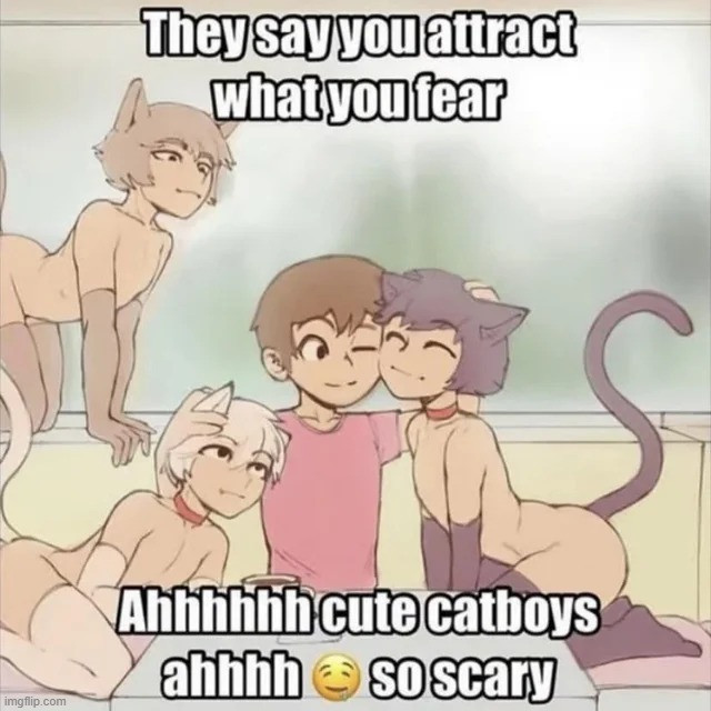 AHHHH OH NO CUTE CATBOYS | image tagged in catboy,cuteness overload | made w/ Imgflip meme maker