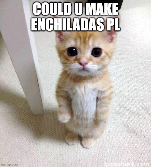 Cute Cat | COULD U MAKE ENCHILADAS PL | image tagged in memes,cute cat | made w/ Imgflip meme maker