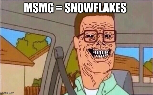 Haters | MSMG = SNOWFLAKES | image tagged in sup,mods,its,ya,boi,again | made w/ Imgflip meme maker