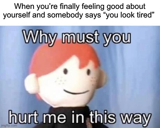 I hate when people say this to me | When you’re finally feeling good about yourself and somebody says “you look tired” | image tagged in why must you hurt me this way,memes,funny,true story,relatable memes,painful | made w/ Imgflip meme maker