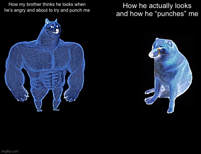 Bro just stops his fist in midair and tries grabbing my arm and tries to rip it off in the weakest way possible. | How my brother thinks he looks when he’s angry and about to try and punch me; How he actually looks and how he “punches” me | image tagged in memes,buff doge vs cheems,siblings,sibling rivalry,buff doge,cheems | made w/ Imgflip meme maker
